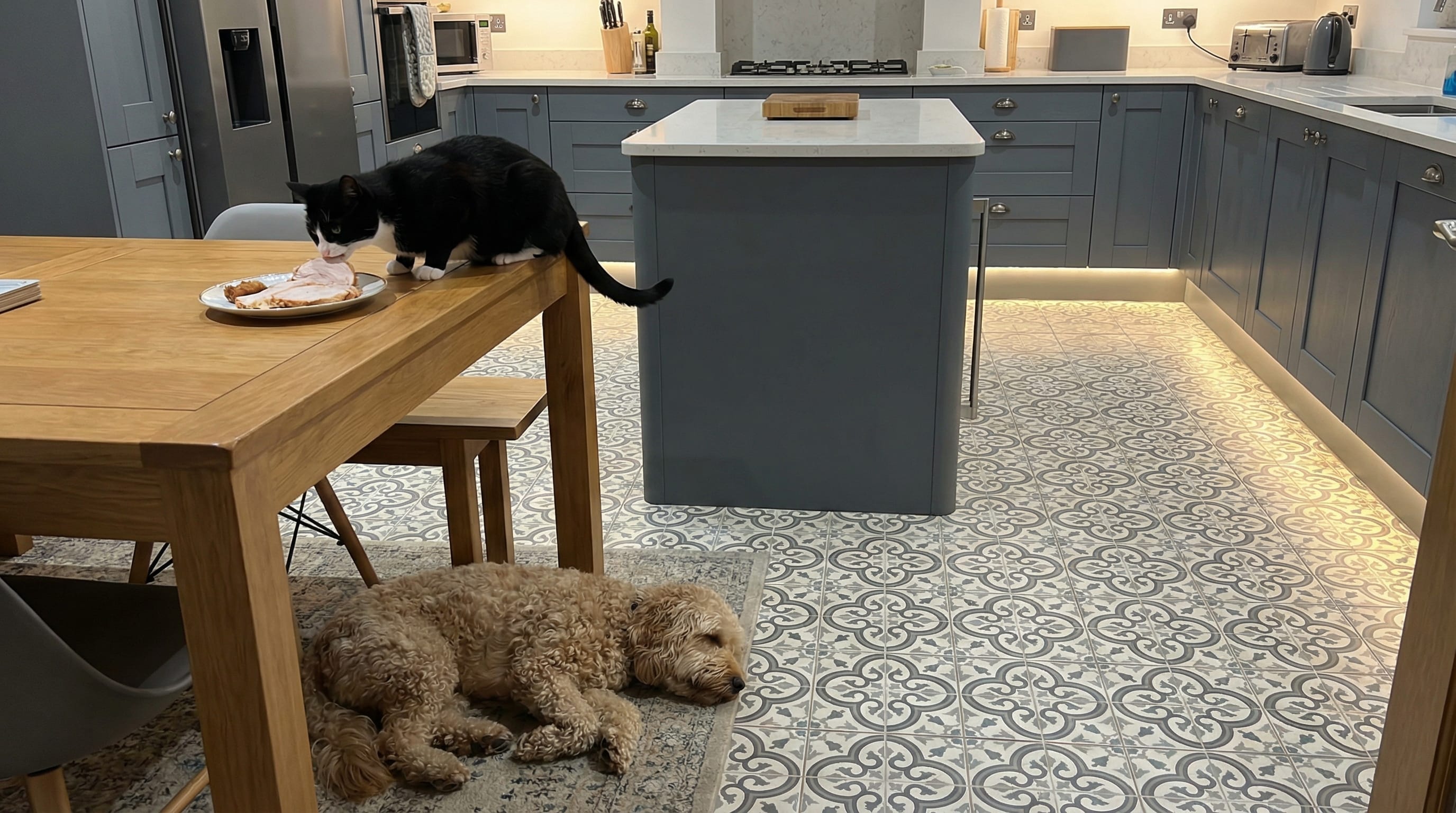 a photo of a black and white cat stealing turkey from a kitchen table while a la